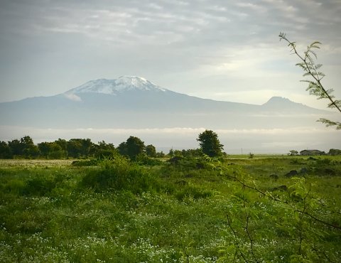 Day-tour To Mount Kilimanjaro - 1342