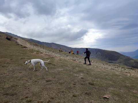 Hike Snowdon - Yr Wyddfa - The Highest Mountain In Wales! - 1307