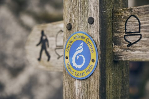 Three Day Tour Of Pembrokeshire, South West Wales - 1365