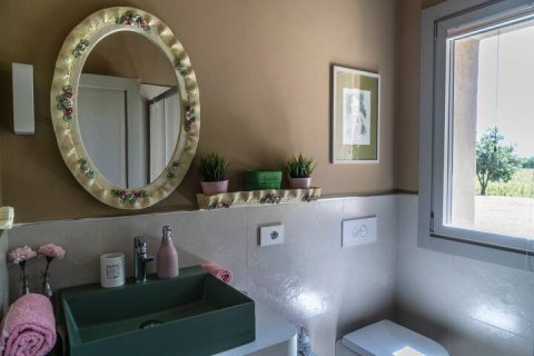 Quercuum Dimorae - 1253