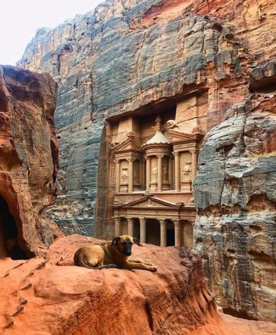 Petra Mountains Tours And Travel - 282