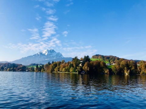 Typically Swiss Tours - 244