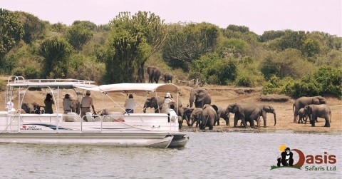 Murchison Falls National Park - 135