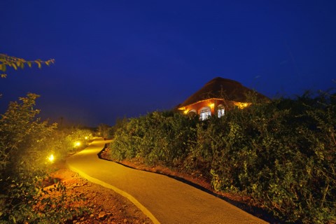 Buffalo Safari Lodge - 178