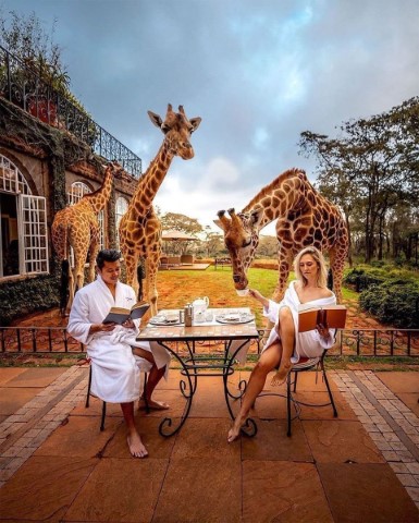 Alaitol Safari - 294