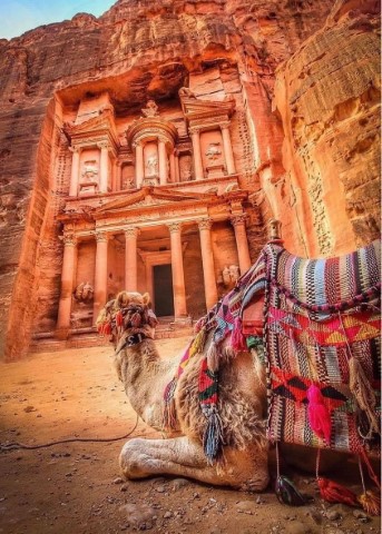 Petra Mountains Tours And Travel - 282