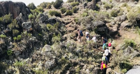 Day-tour To Mount Kilimanjaro - 1342