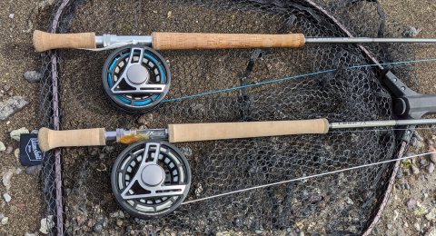 Bearfish Alliance - 332