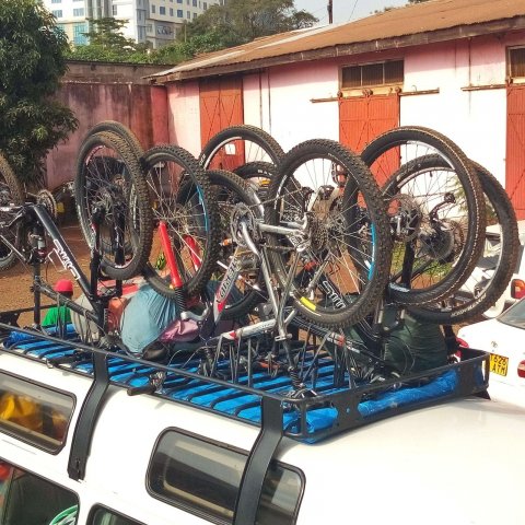 Domus Aurea Safari Company Limited - 1186