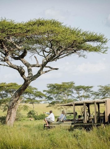 Alaitol Safari - 294