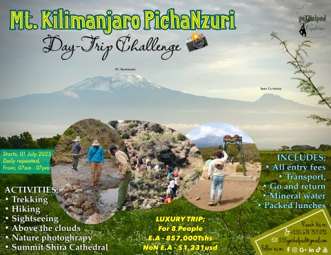 Day-Tour to Mount Kilimanjaro