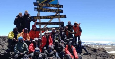 Domus Aurea Safari Company Limited - 1186