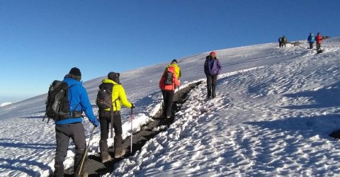 Domus Aurea Safari Company Limited - 1186