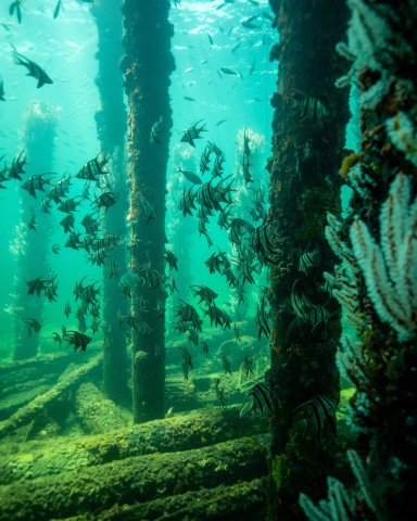 Busselton Jetty