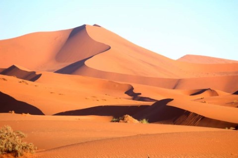 Namib Naukluft Park  - 242