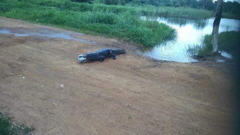 Visit Volta Region - 229