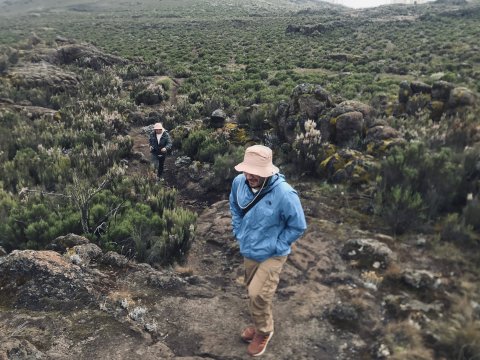 Day-tour To Mount Kilimanjaro - 1342