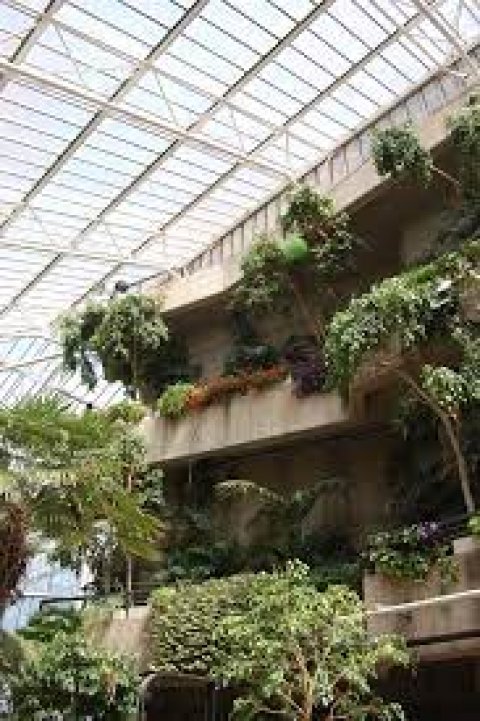 Barbican Conservatory
