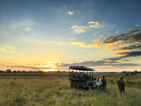 Amara Safari | Luxury African Safaris | Tanzania Tours
