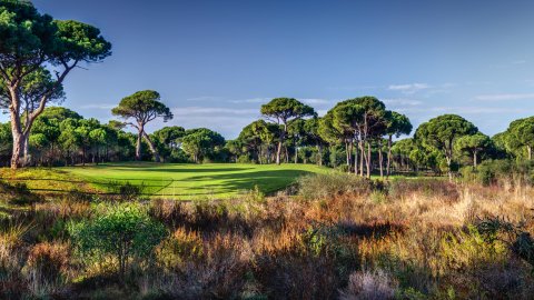 Golf Paradise Belek - 1135