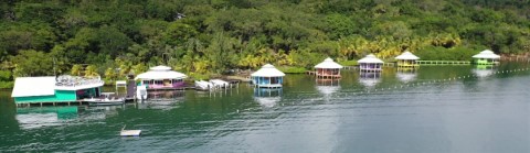 Mango Creek Lodge - 169