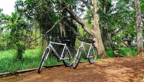 River Side Homestay - 133