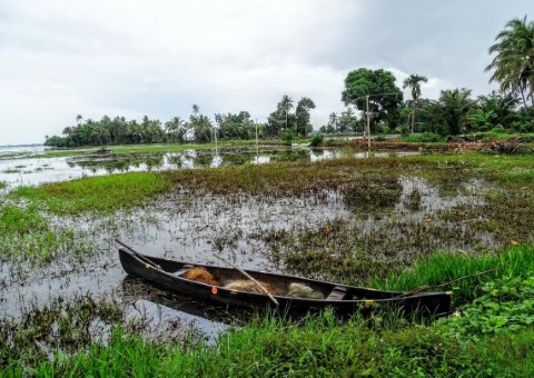 Eco Trails Kerala - 134