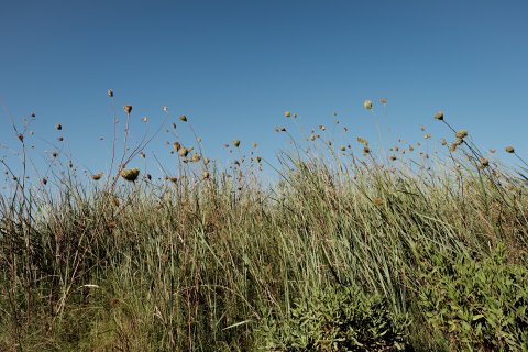 Lykia Links Golf Club - 4