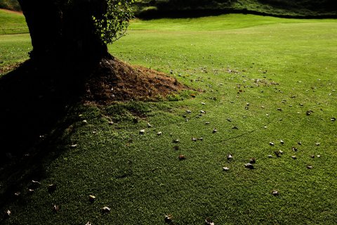 Lykia Links Golf Club - 4