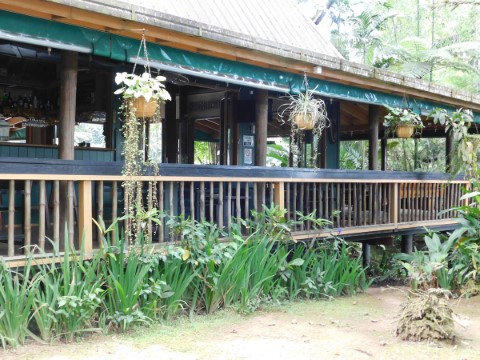 Coloisuva Rainforest Eco Resort - 171