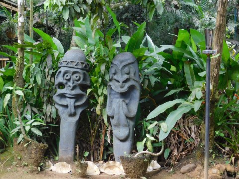 Coloisuva Rainforest Eco Resort - 171