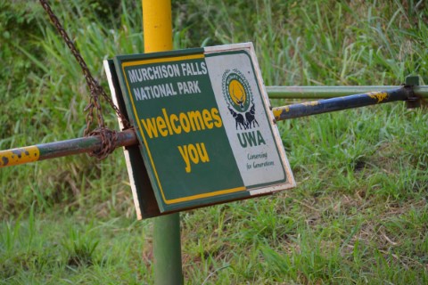Murchison Falls National Park - 135