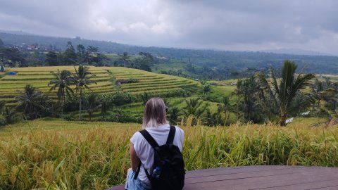 Green Bikes Bali - Jatiluwih - 1254