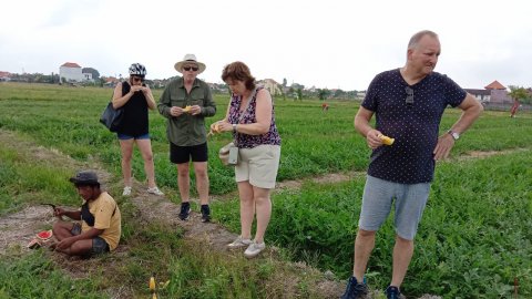 Green Bikes Bali - Sanur - 1256
