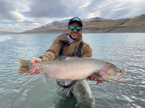 Bearfish Alliance - 332