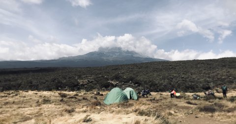 Day-tour To Mount Kilimanjaro - 1342
