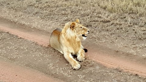 Afrozone Kingdom Safaris - 145