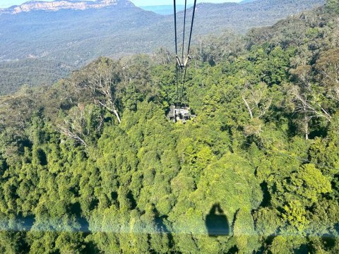Scenic World - 1144
