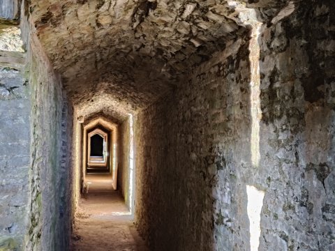 Wales Outdoors - 1192