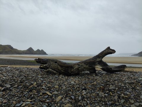 The Gower Guided Tour - Mumbles, Three Cliffs And Worms Head - 1304