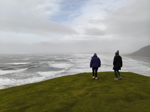 The Gower Guided Tour - Mumbles, Three Cliffs And Worms Head - 1304