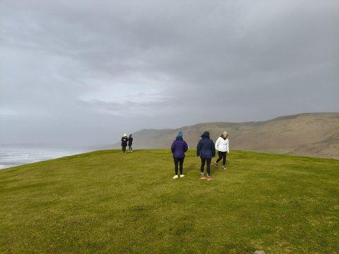 The Gower Guided Tour - Mumbles, Three Cliffs And Worms Head - 1304