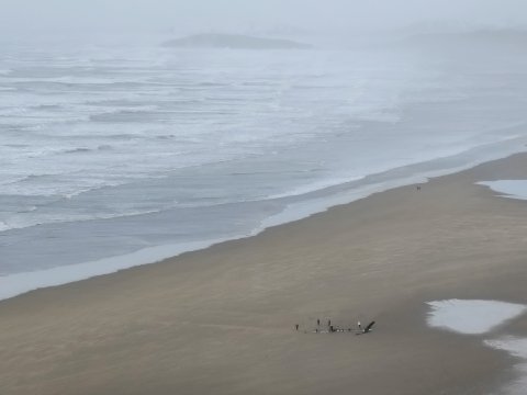 The Gower Guided Tour - Mumbles, Three Cliffs And Worms Head - 1304