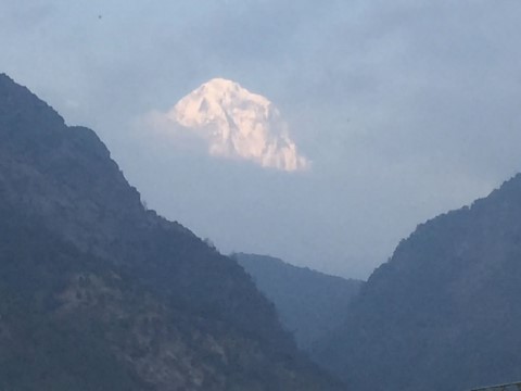 Ghorepani Trek - 310