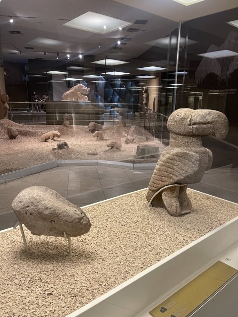 Sanliurfa Archeological Museum - 1383