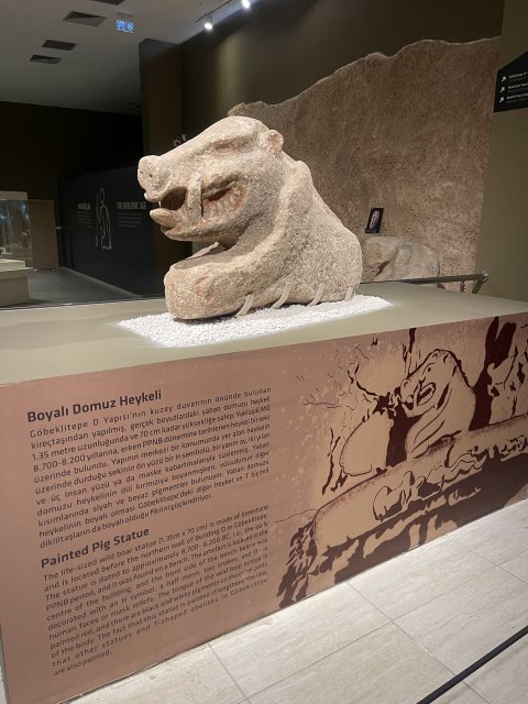 Sanliurfa Archeological Museum - 1383