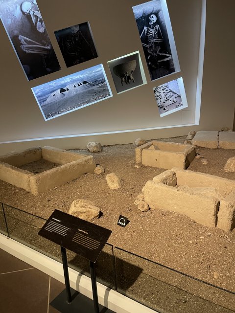 Sanliurfa Archeological Museum - 1383