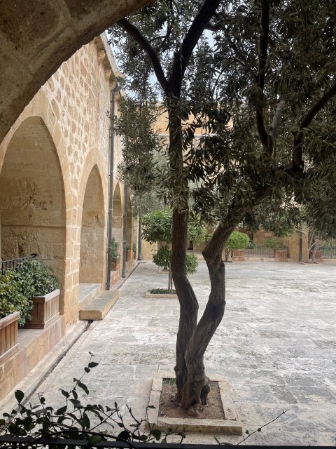 Deyrulzafaran Monastery - 1387