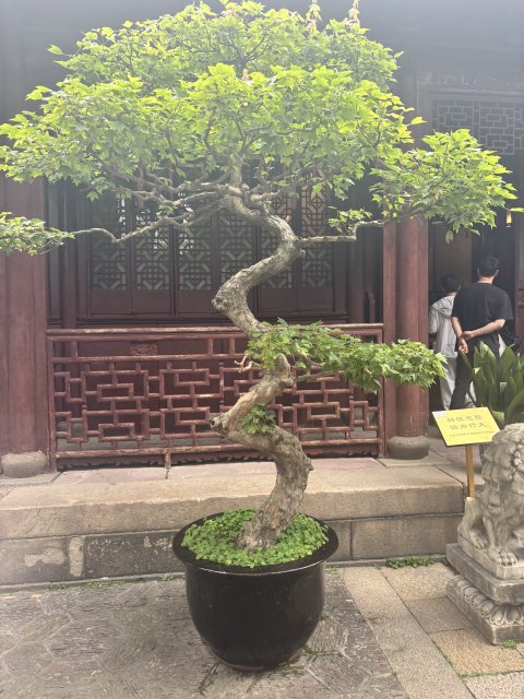24 Hours In Shanghai - 1403