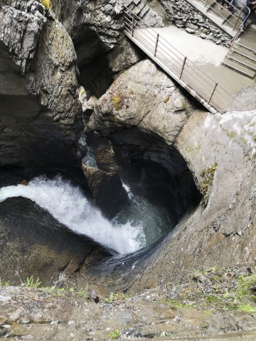 Typically Swiss Tours - 244